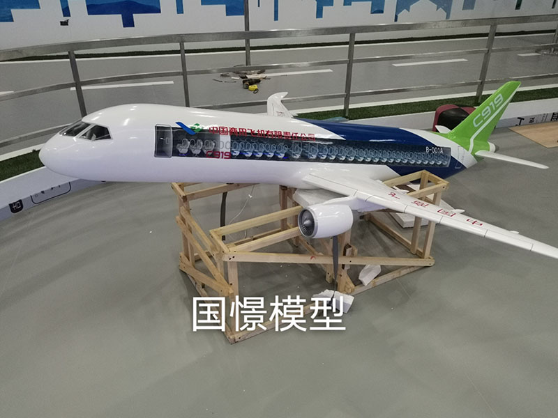 新县飞机模型