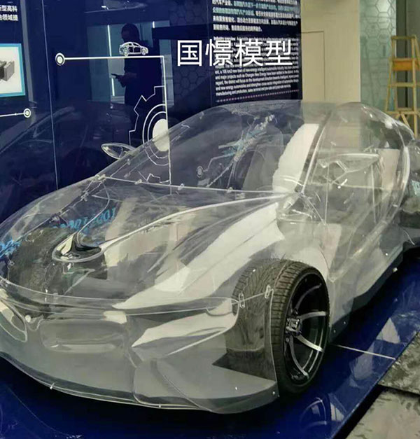 新县透明车模型