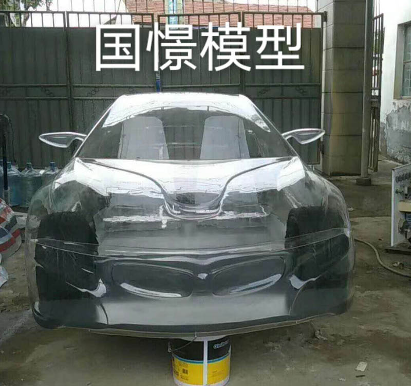新县透明车模型